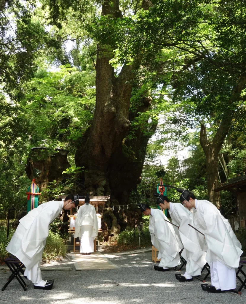 Shinto priests praying to the sacred tree.