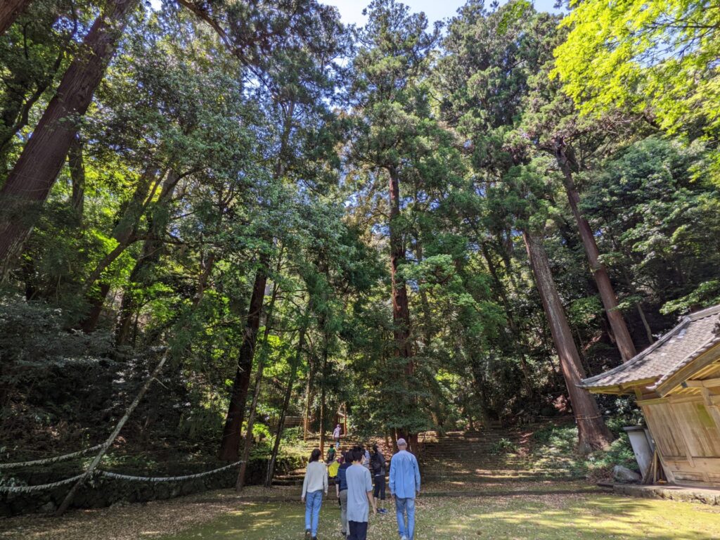 Beautiful precincts surrounded by cedar trees.