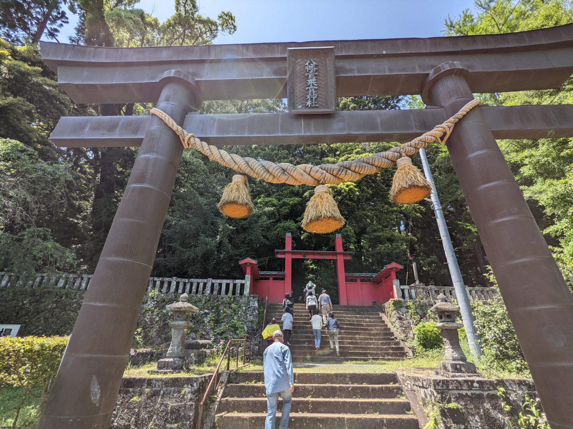 The torii gate of Hachimangu-Kinomiya Jinja stands beautifully.